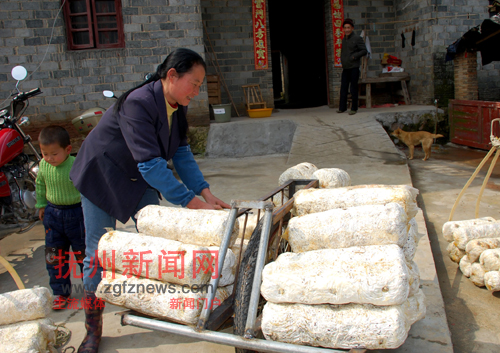 �Ϸ��ض�ƺ���±������ִ�С�鷵��Ůũ�񹤹���������װ�˹�Ͳ