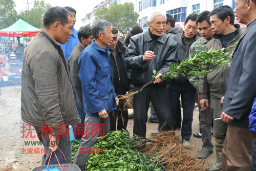 82��ĸ߼�ũ��ʦ�ƾ���������񽲽����ѡ������