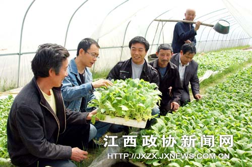 ��ЭίԱ���Ƽ���Ա�ڸ��ظ����維Ϫ����ũ������������������¼���