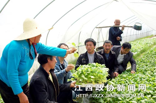 ��ЭίԱ���Ƽ���Ա�ڸ��ظ����維Ϫ����ũ������������������¼���