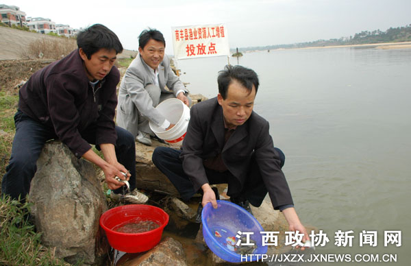 Ͷ�����籣��������̬����