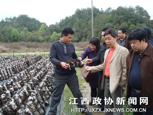 ��ЭίԱ���������Ӳ��ľ���������