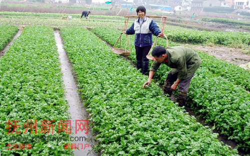 �Ϸ�����Ϫ����÷�Ӵ����������æ�Ÿ��߲�ʩ��