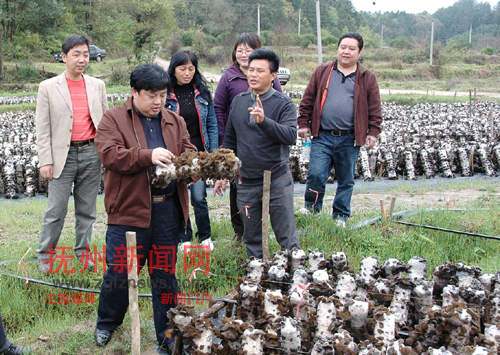 �Ϸ����ô�������뻧�ܻ�ӭ