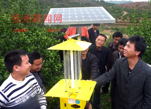 �Ϸ����������������Ʒ��