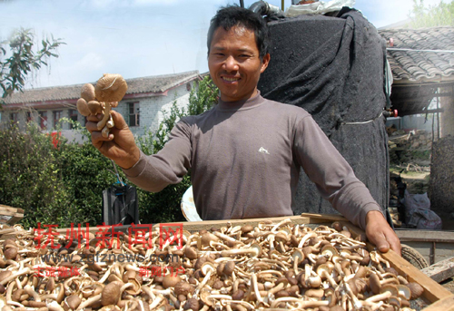 �Ϸ��ظ�����ʯ�״�ũ�����ʤ���ڷ�ɹ���ջ�Ĳ�����