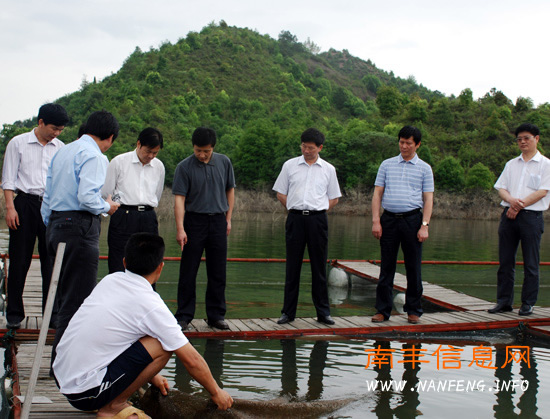 ���������Ϸ����