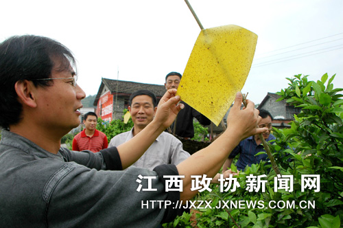 ��ЭίԱ��ũҵר���ڸ���̫Դ���۽۾�Ʒ԰�Ӳ�ʹ�ûư�ֽճ�����ũҩʹ�����