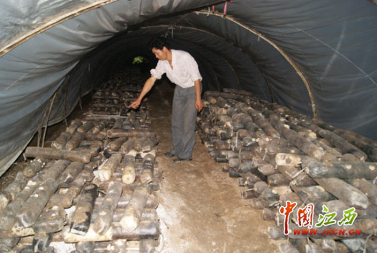 ������ʯ��ۡ��������´������������һƬ����